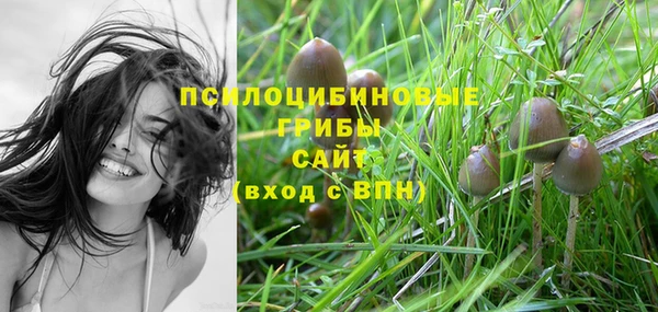 метадон Медногорск