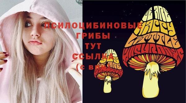 ГАЛЛЮЦИНОГЕННЫЕ ГРИБЫ Анжеро-Судженск