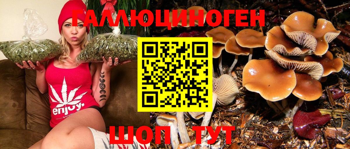 Галлюциногенные грибы GOLDEN TEACHER Черняховск