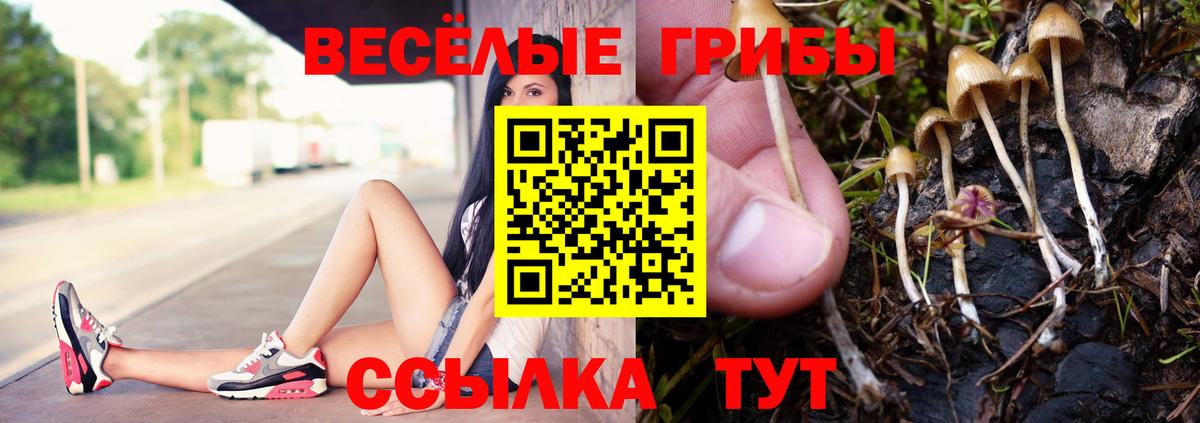 Псилоцибиновые грибы GOLDEN TEACHER  Вход с VPN  Черняховск 